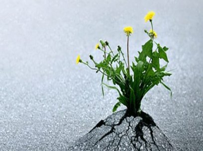 27 Nisan Perşembe ( Yaşama Sanatı )